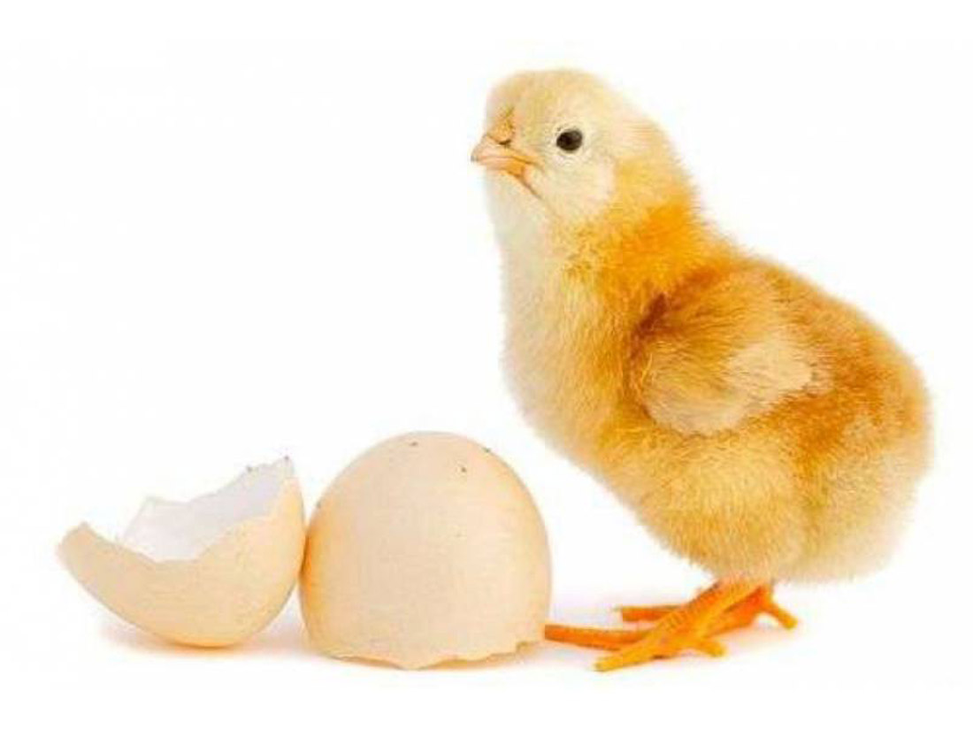 【今日看点】水木清华校友种子基金，3000万打造高校创业孵化器