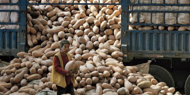 被低估的批发市场