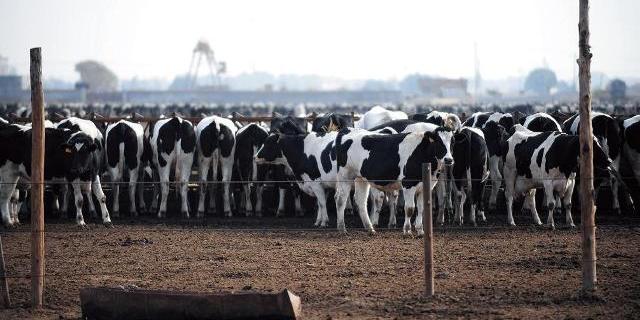 农业新圈地运动