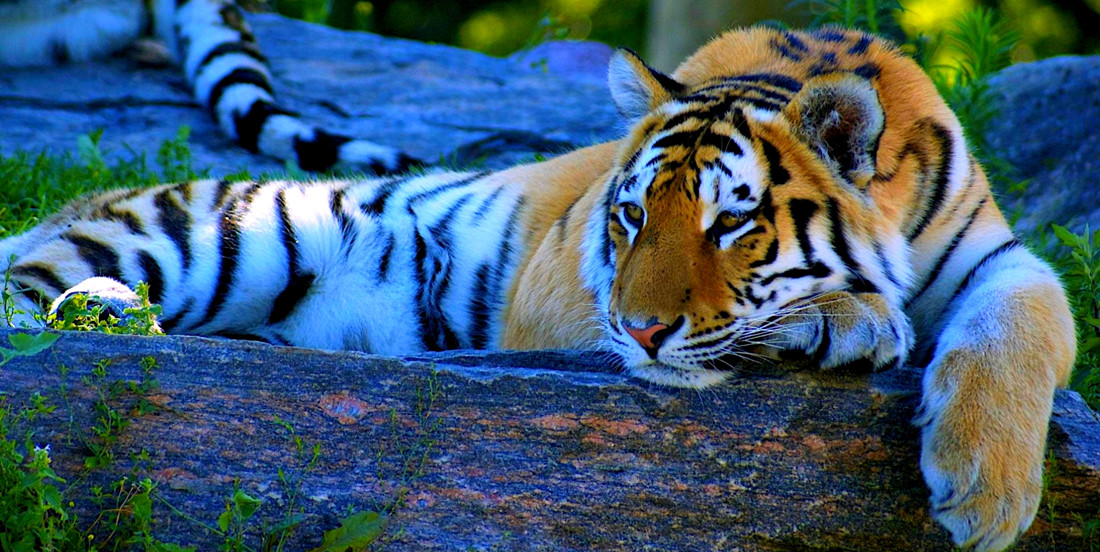 网络闲散：是利是弊？