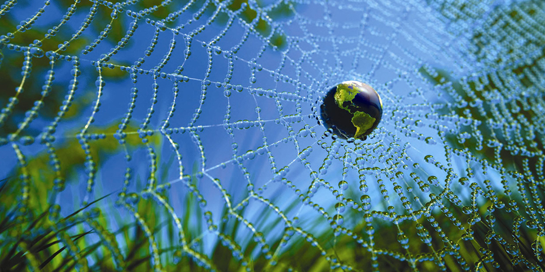 CSR竞争力可持续才是硬道理