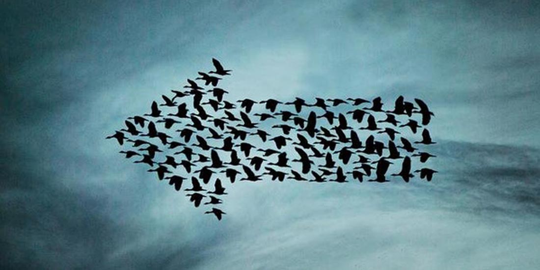 公司制度改革，小伙伴们快去创业吧！| 商业价值今日看点