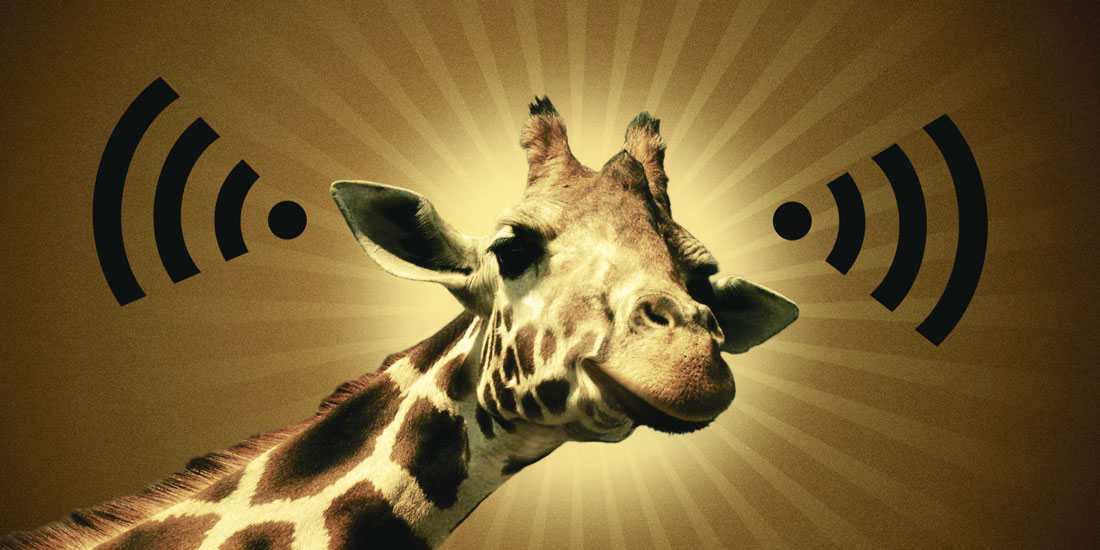 盘点智能路由的前世今生