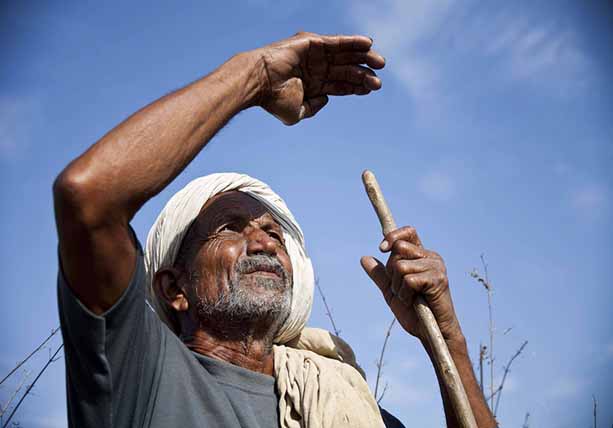 互联网金融下乡，阿里京东们提前布局