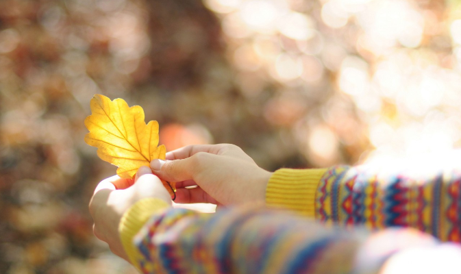 上周（1月19日—25日）好稿新鲜出炉，十篇好文不容错过