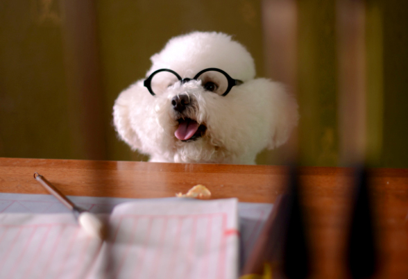 【羊年钛度奖第一波】一起来狂欢吧！35位作者的46篇文章获奖，看有没有你