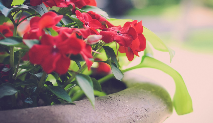 上周（3月16日—3月22日）好稿名单新鲜出炉，一起来看看吧