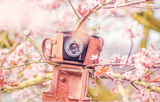 上周（3月23日—3月29日）好稿名单新鲜出炉，一起来看看吧