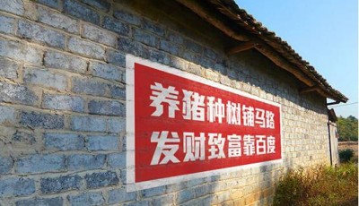 “互联网+”下乡进村“最后一公里”如何破？