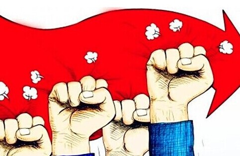 90%国产手机品牌将死掉，如何成为幸存者？