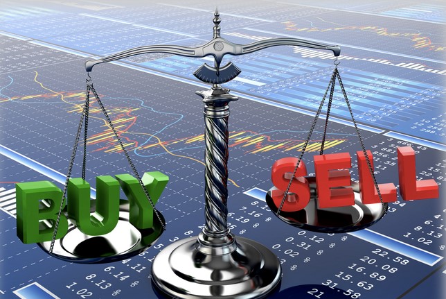 strategy 5: guide inexperienced domestic companies to explore in