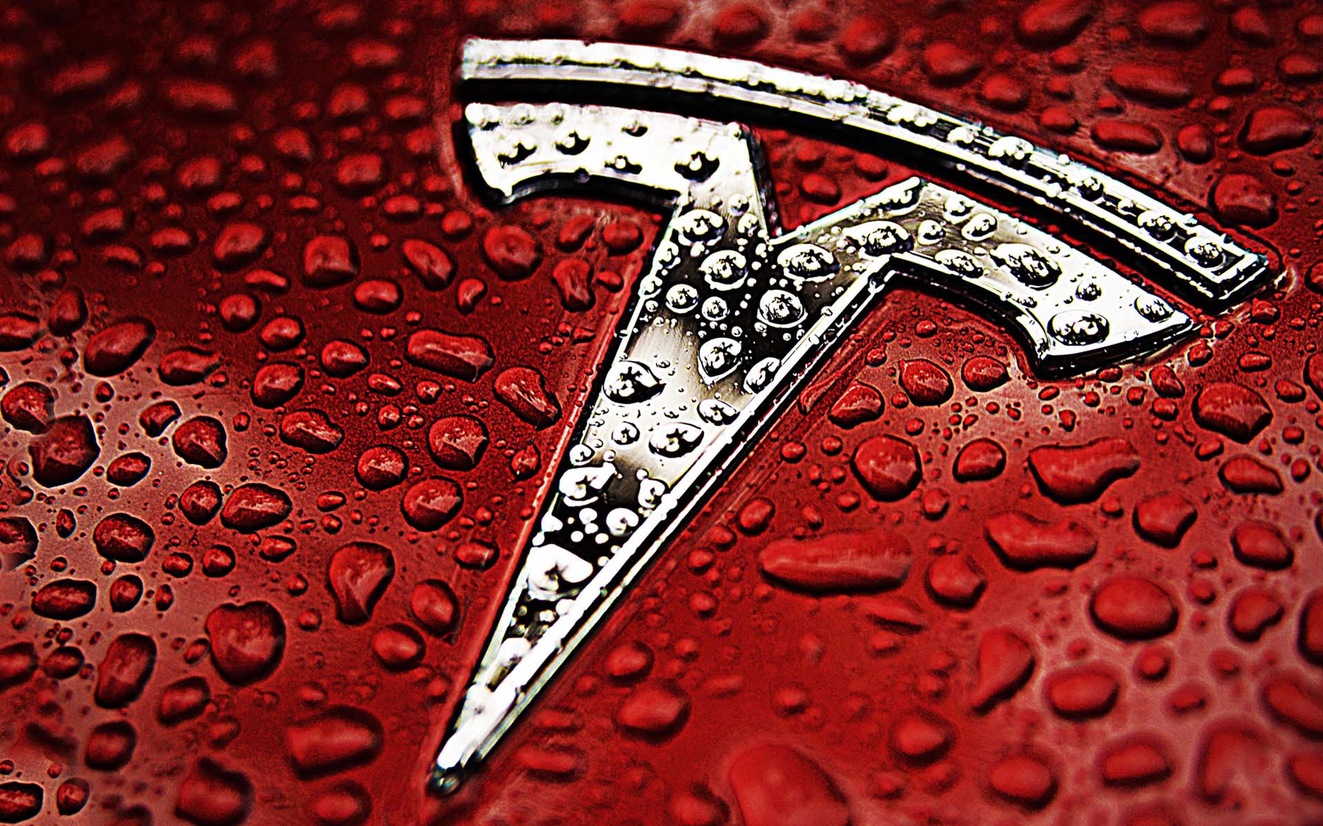 An Interview With Zhu Xiaotong: Why Tesla China Spent Nothing in Marketing?