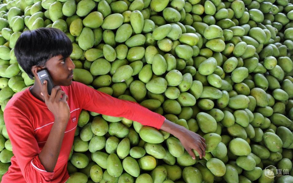 Apple VS Chinese Smart Phone Makers In Indian High-End Smart Phone Market