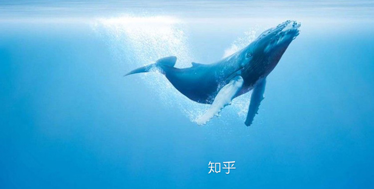 知乎创始人周源：社区类产品从0到1的冷启动，如何完成？