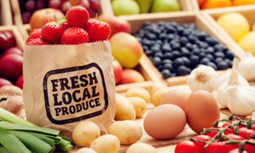 百度2亿砸向我买网，生鲜电商出路何在？