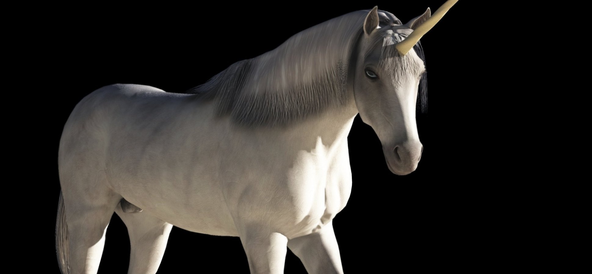 泡沫虽至，但总体来说2015还是独角兽的好年头