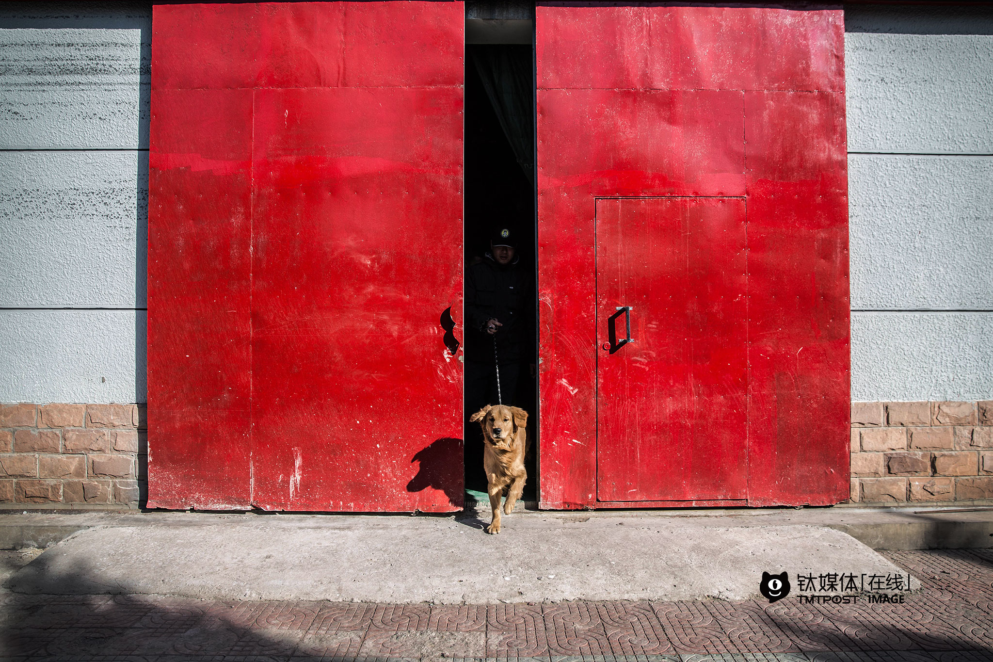 Photo Gallery 015: A Guide To A “Decent” Life For Dogs