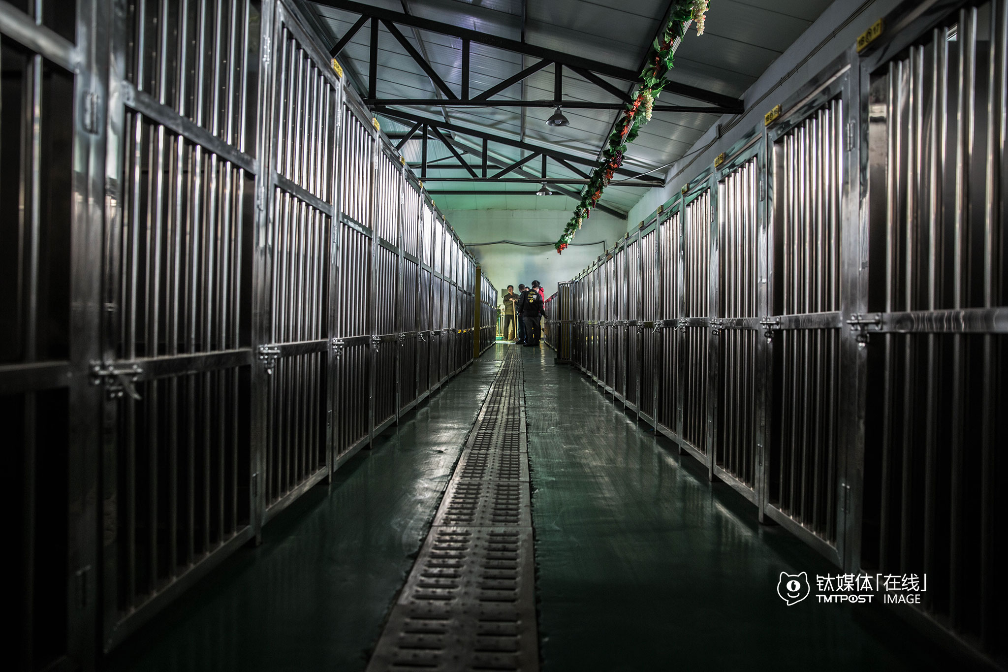 “狗狗学校”的“学生宿舍”有122个位置，春节前一周就收到了90个预订，“由于这里承载量有限，我们到90就没再接受预约了。”要敬文介绍，“狗狗专车”计划在北京4个区域开办4个狗狗学校，“通州这个这只是开始”。