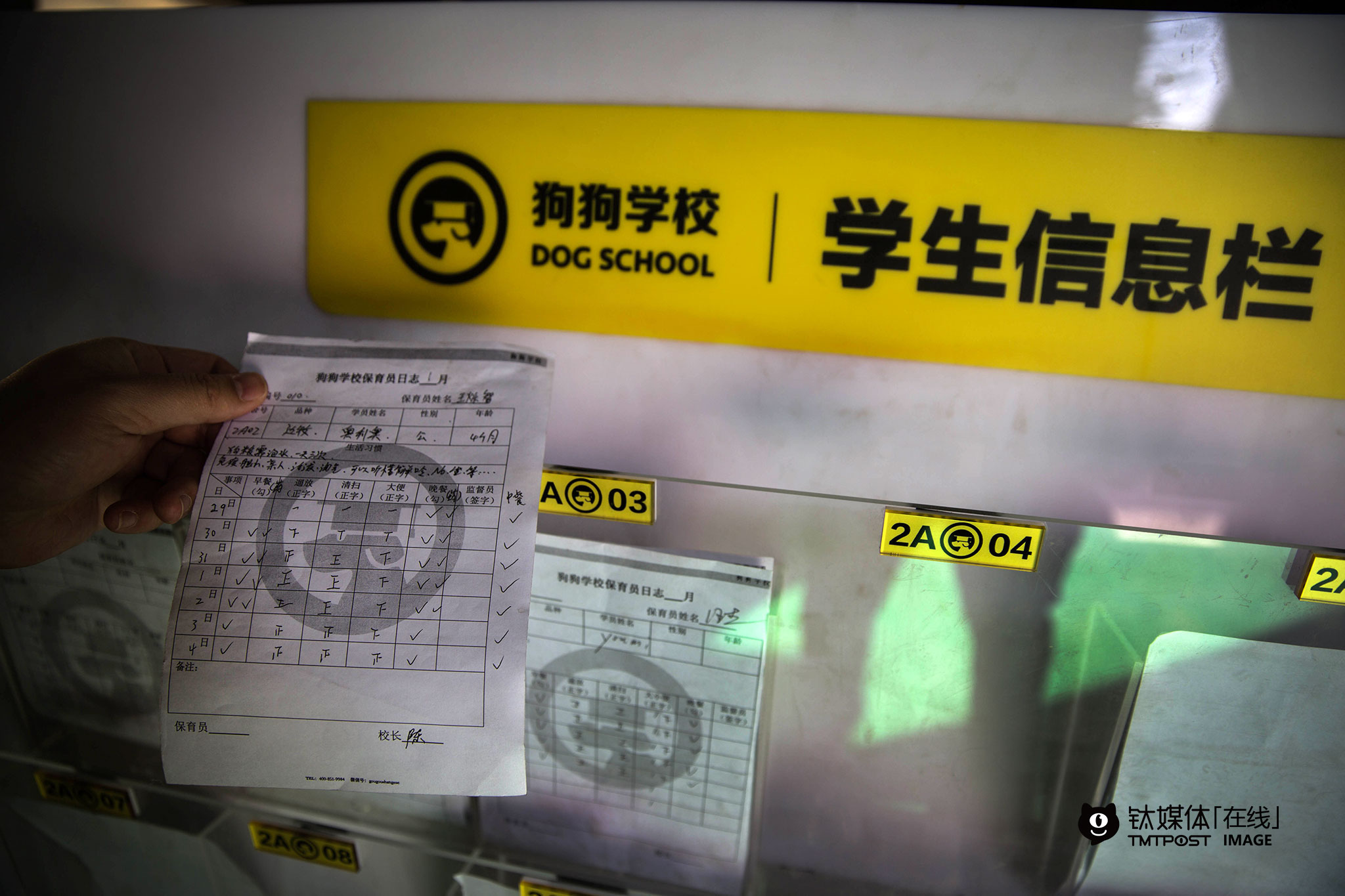 在狗狗学校，每一条被送来寄养的狗，都有属于自己的保育信息，记录每天的情况；在这所“学校”的规章制度里有一条“严禁大声呵斥、打骂、虐待狗狗，无论何人、无论轻重一经发现立即开除”的规定。“我的整个模式是没有问题的，但是真正做起来，会发现很多地方根本没想到，都是不断地做才能完善”，对要敬文来说，流程管理和用户体验上细节才是最费心思的，“要照顾好狗，工作还是很琐碎很多的。”