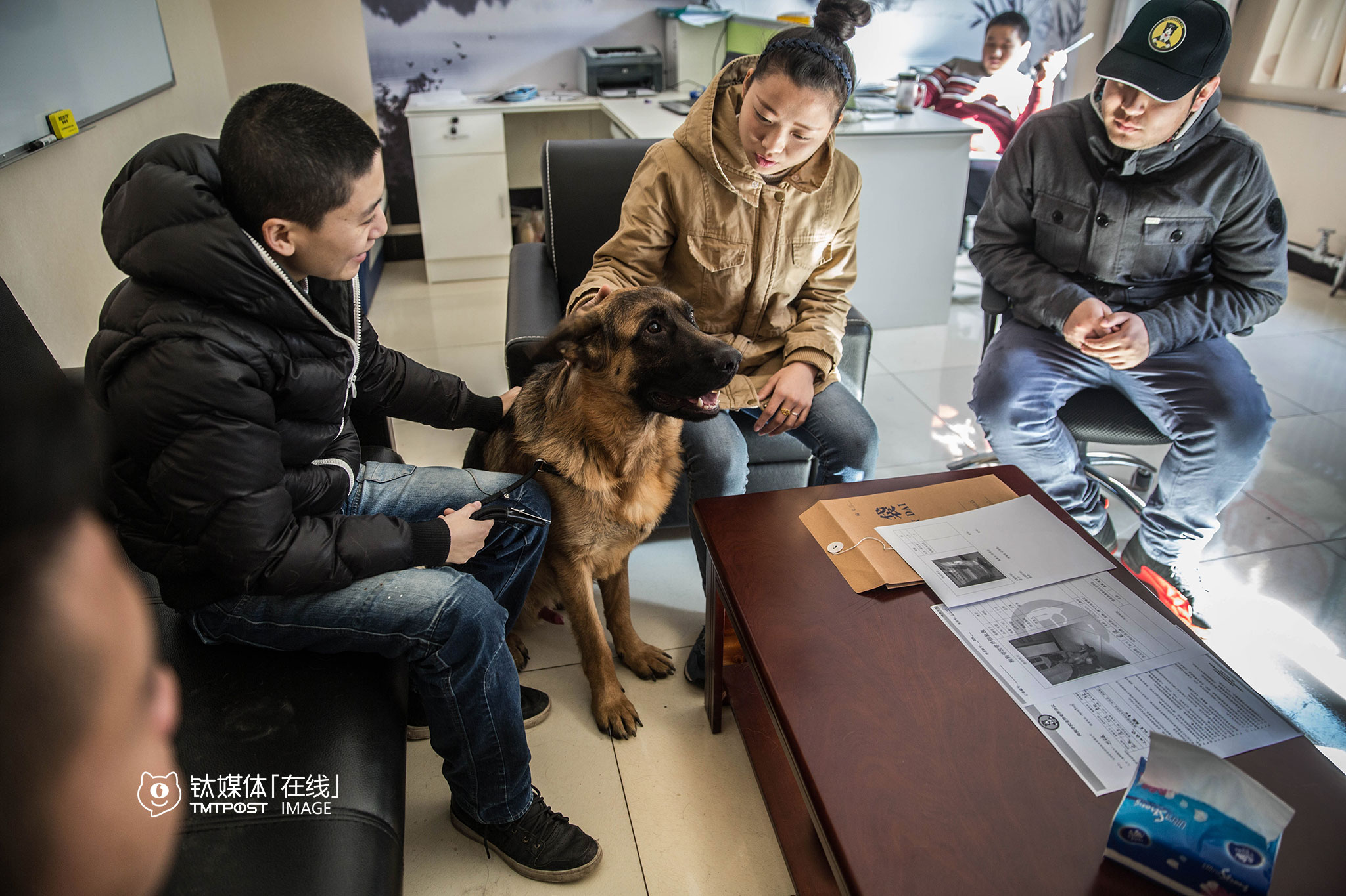 2月19日，家住北京丰台的用户接走了春节期间寄养在这个狗狗学校的德牧。目前，这所学校按照犬型大小，每只狗每天收费60到100元不等，同时还可以为用户提供“狗狗专车”上门接送服务，对寄养狗狗的运送费也有相应折扣。