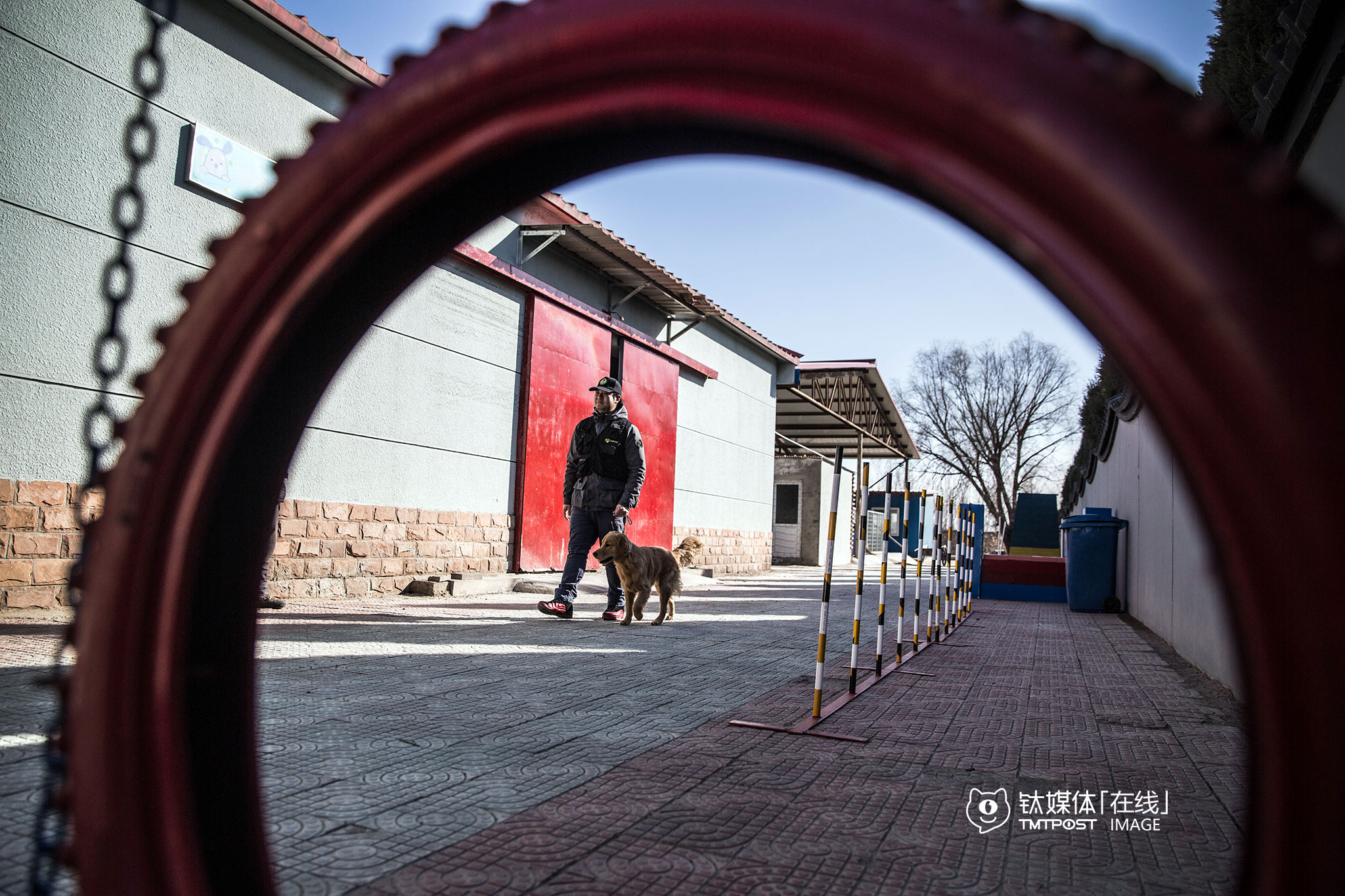 狗狗学校已经备好了训犬器材，为即将要上线定制犬培训产品做准备。“我们的产品都按照人类的活动场景来规划，比如陪护犬、解压犬、护卫犬等”，要敬文举例说，一个爱夜跑的女孩养的狗狗，可以由狗狗学校训练成护卫犬，陪伴主人跑步，“不是单纯的坐、卧、立、匍匐、叼飞盘，我们把这些基本技能都融入到场景化的产品中去。”