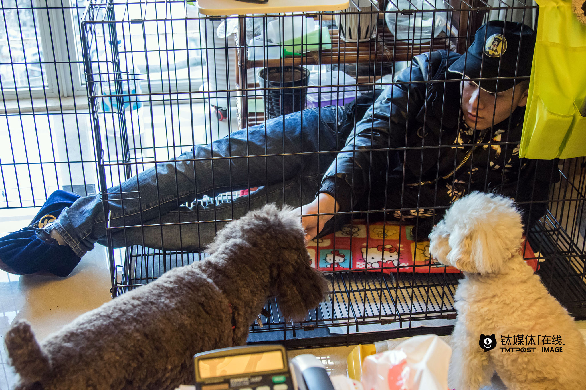 2月18日，训犬师海哲上门对用户的泰迪进行不良行为矫正，他从业8年，现在是“狗狗家教”的全职训犬师。用户是一对年轻夫妇，他们准备带着狗狗移民海外，但其中一只出现了咬人、乱叫等不良行为，而当地对宠物饲养的规则比较严格，他们想通过训犬师的帮助来解决狗狗的问题。