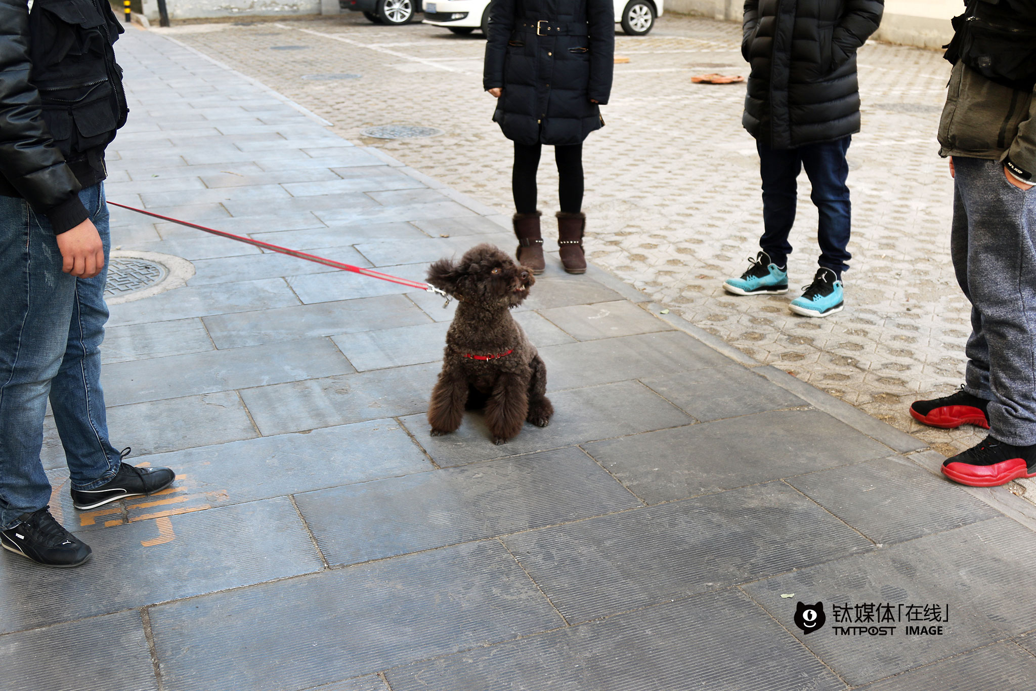 “其实狗没有问题，问题在人身上，狗狗家教大部分都是调整主人，主人变了狗就变了”，从业这么多年，海哲经常要向人解释：“狗只活在当下，它每天只为‘配种、吃饭、领地、运动’这四件事情活着，只要保持它的平衡它就会听话，如果遇到狗狗的不良行为，要当下解决，人要面对问题，也要让狗狗学会面对问题。”  很多养狗的人非常宠爱狗，认为狗和自己是平级的，海哲认为，这也是导致狗狗出现不良行为原因，“狗是等级动物，如果你没有确立主人的等级地位，在它心目中你就比它等级低，它就不会听你的，狗是尊重纪律的动物，主人要当严明的领导者。”