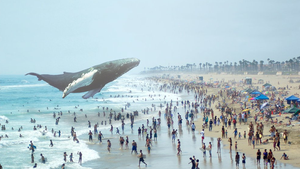 累计融资14亿美元，AR届最神秘的公司Magic Leap在憋什么大招？