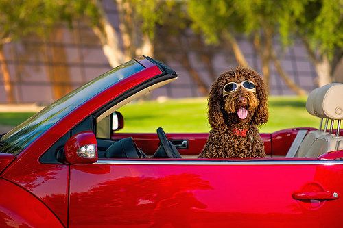 有了这款神器，再也不担心爱车被偷了｜我造社区每周产品榜单