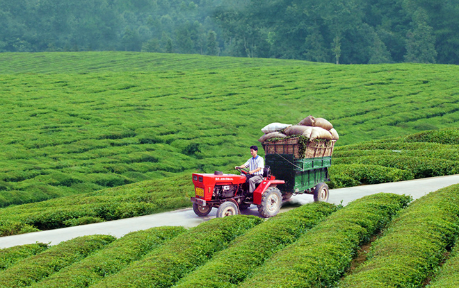 火爆的农村电商背后，农民究竟能获利多少？
