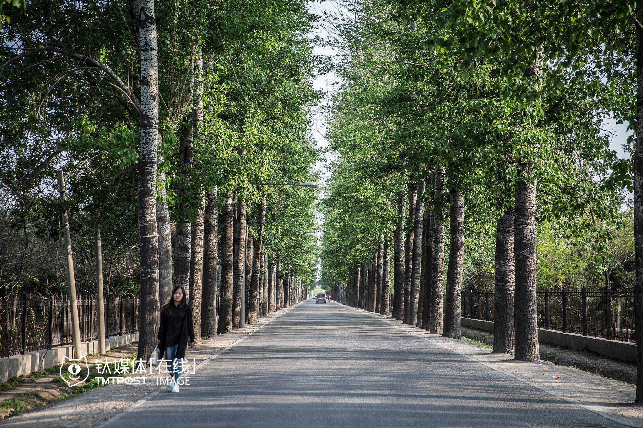 连接中关村软件园和唐家岭的唐家岭路，唐家岭是曾经引起广泛关注的“蚁族”聚集地之一。