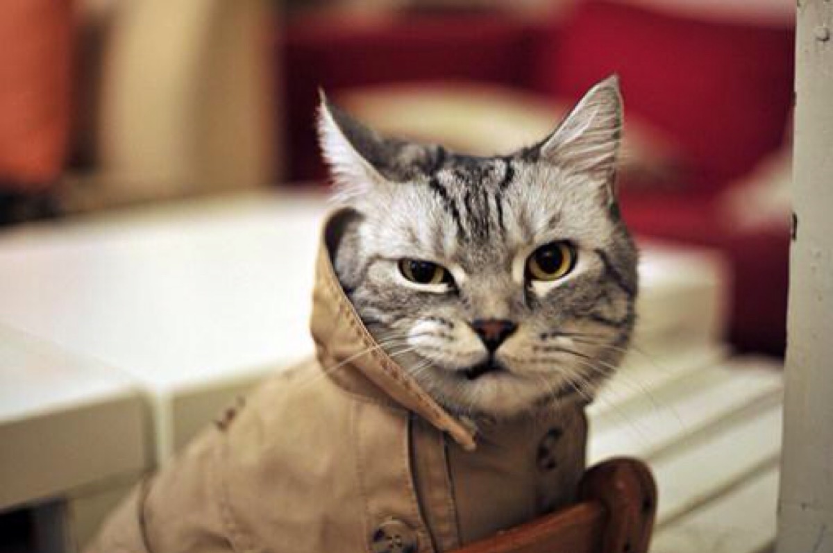 无处不在的互联网行业鄙视链，你处在哪一层？