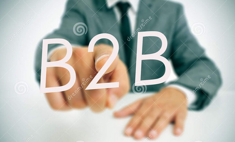 国内B2B服务大格局已成型，行业信息化才刚开始
