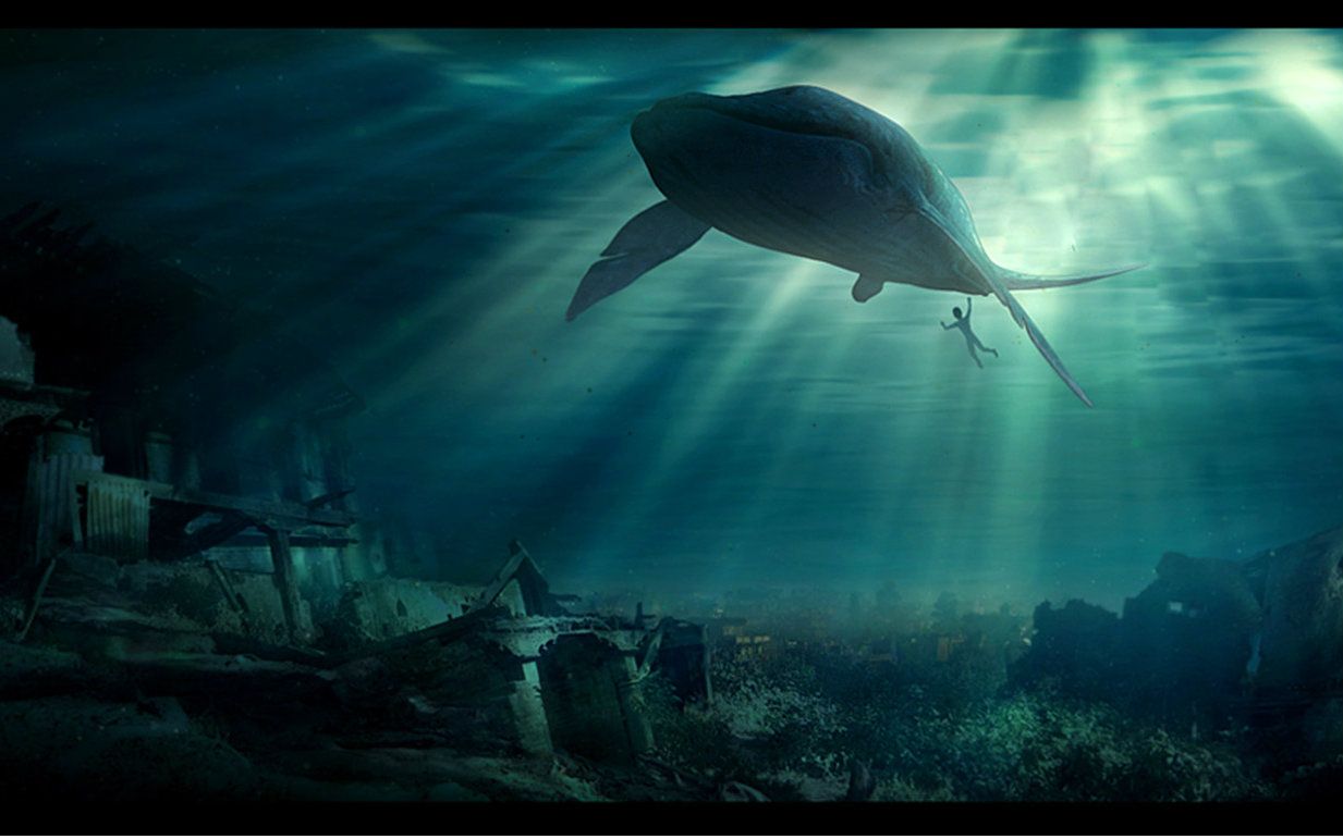 众筹、撤资、跳票，12年国漫与《大鱼海棠》的漫漫成长史