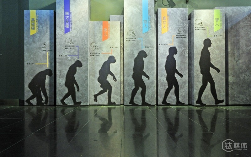 每年最重要的互联网大聚会来了，还带来了一大波“新物种”！