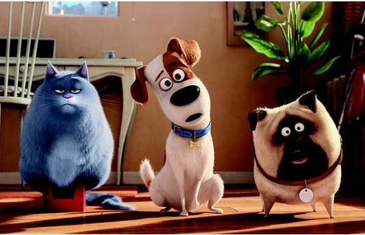 《爱宠大机密》高调来袭，拯救了“暗无天日”的暑期档