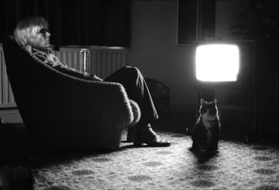 《中国新歌声》爆冷收官，电视综艺市场出现真空期