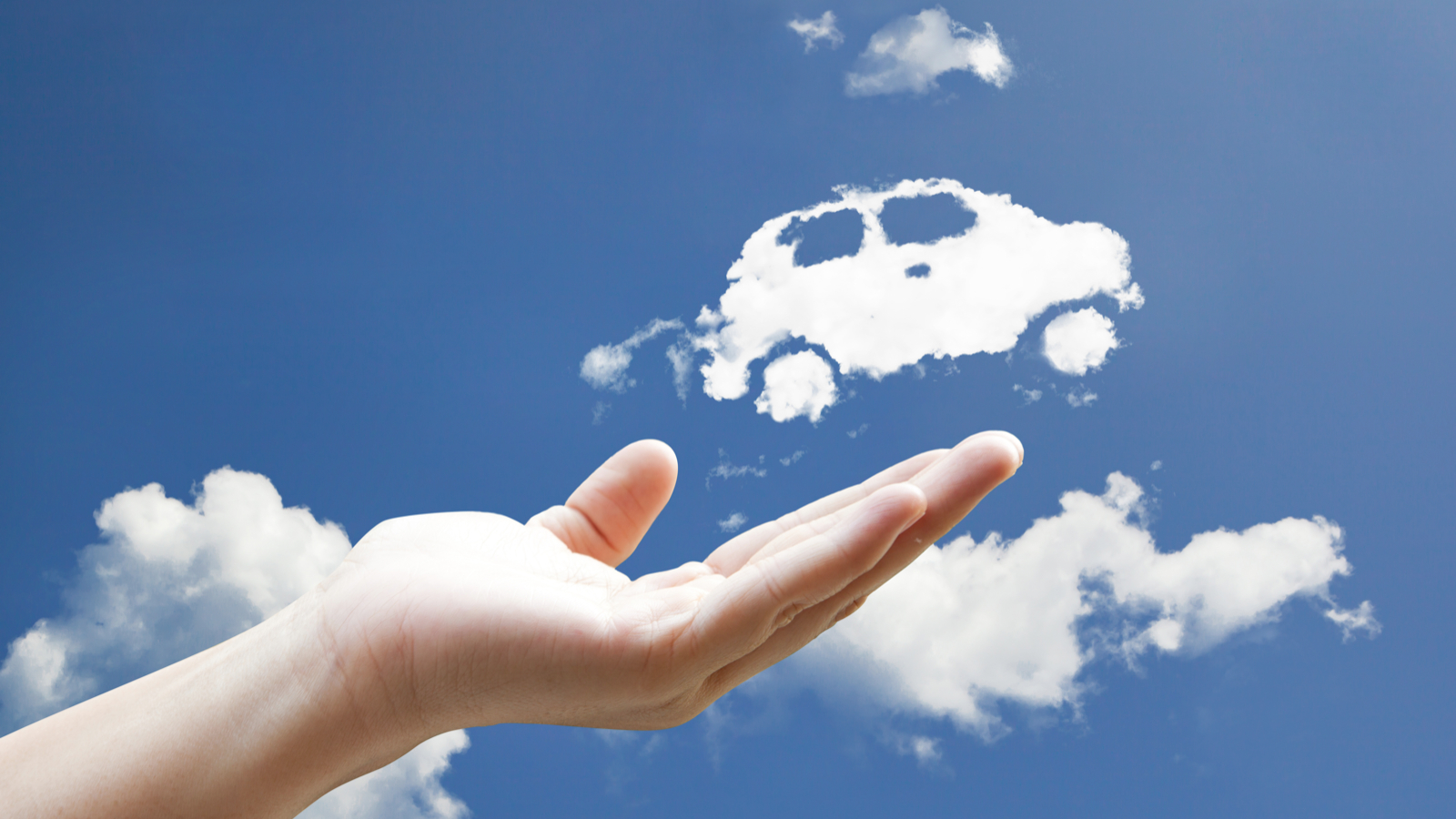 又是一年双11，汽车电商们为什么热衷于数据造假？