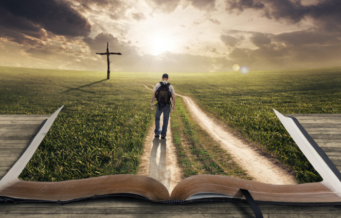 以及对写作,媒体,行业,人生…的思考