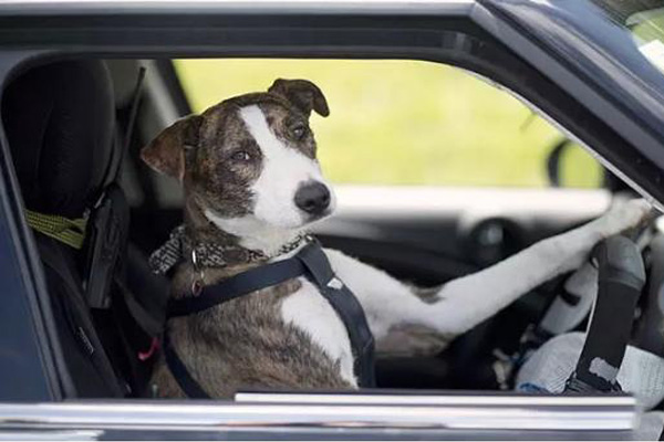 无人驾驶的“童话故事“，掩盖了哪些真正机会？