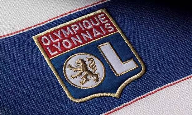 法甲豪门里昂挂牌新三板！中国资本玩足球的新套路