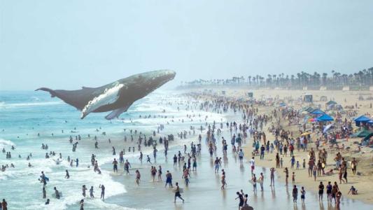 马云花8亿美元投的Magic Leap，到底是不是大骗局？｜深度