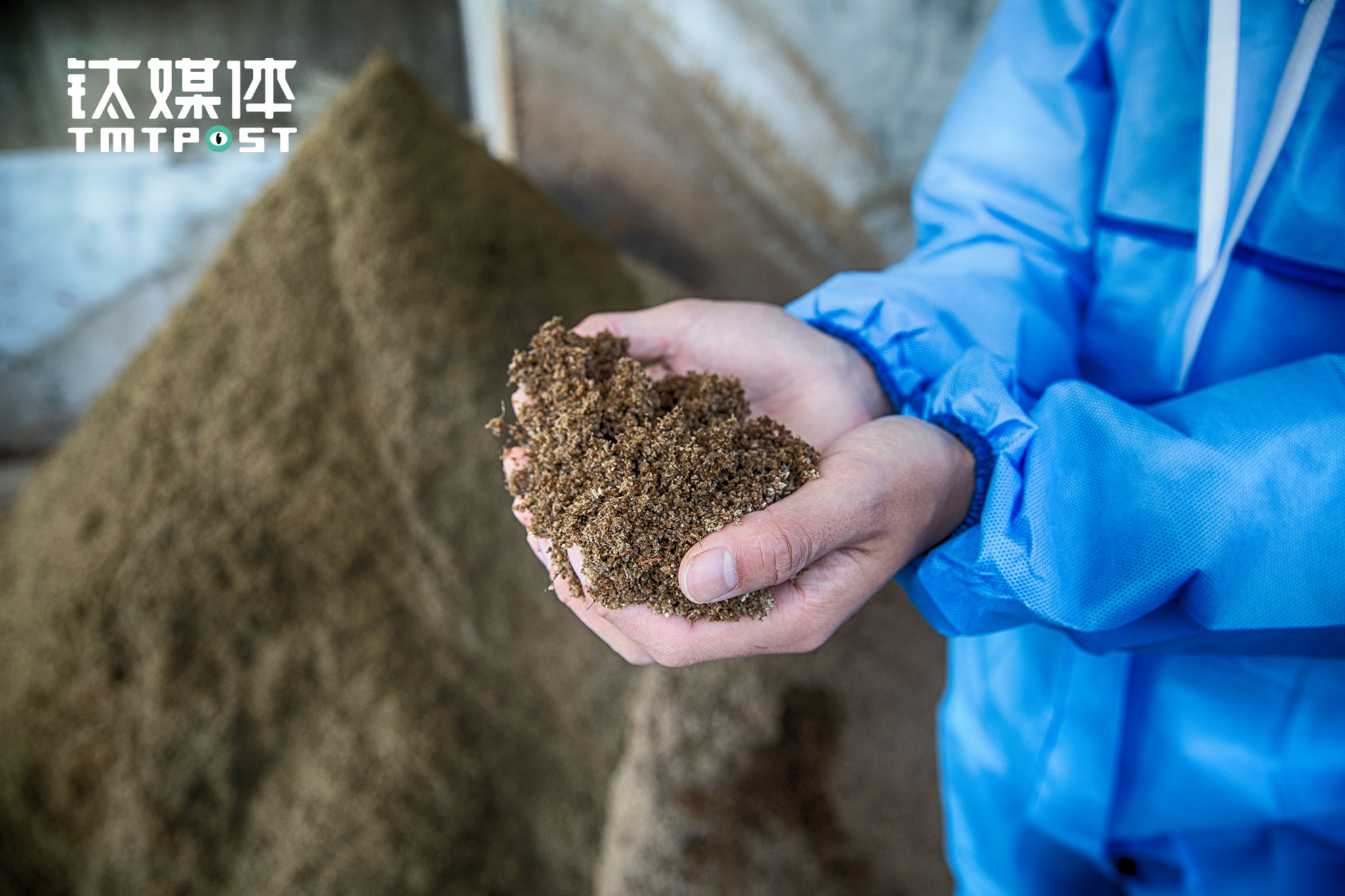 猪粪的处理是猪场的难题之一，网易联合同济大学开发的处理系统在味央猪场环保处理上起到关键作用。农场猪粪到了处理中心，首先实现干湿分离，分离出来的固体经过处理，可以用作有机肥，并且几乎没有了臭味。