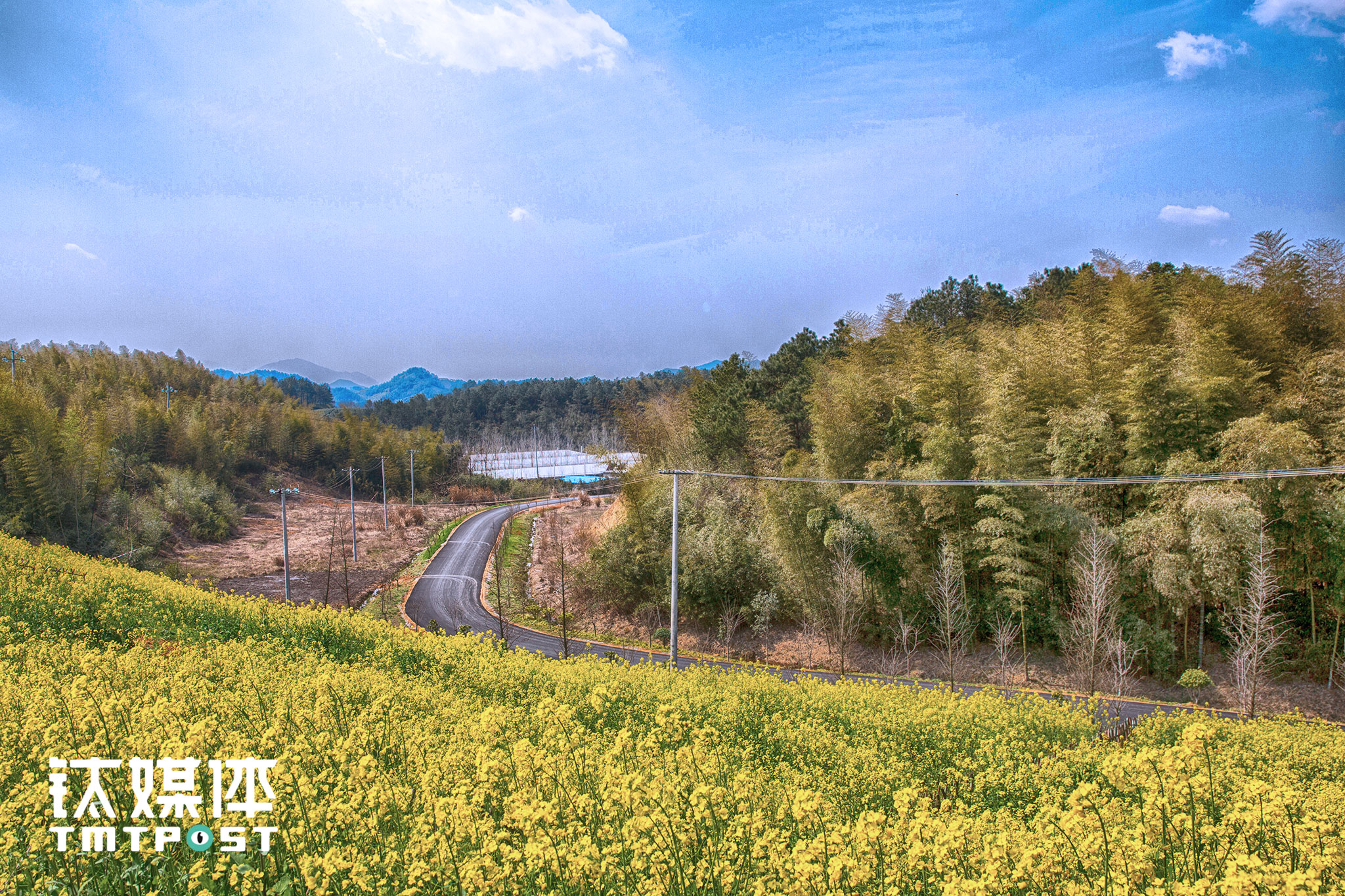 通往网易味央猪场创新研发中心的路边山丘上，长满了油菜，这里本来是一块荒地，为了利用肥料改良土壤，种植工人会根据不同季节在这里种植不同作物，&ldquo;既把养猪产生的有机肥料给利用了，还可以给猪和自己的工作人员提供可以吃的东西&rdquo;。