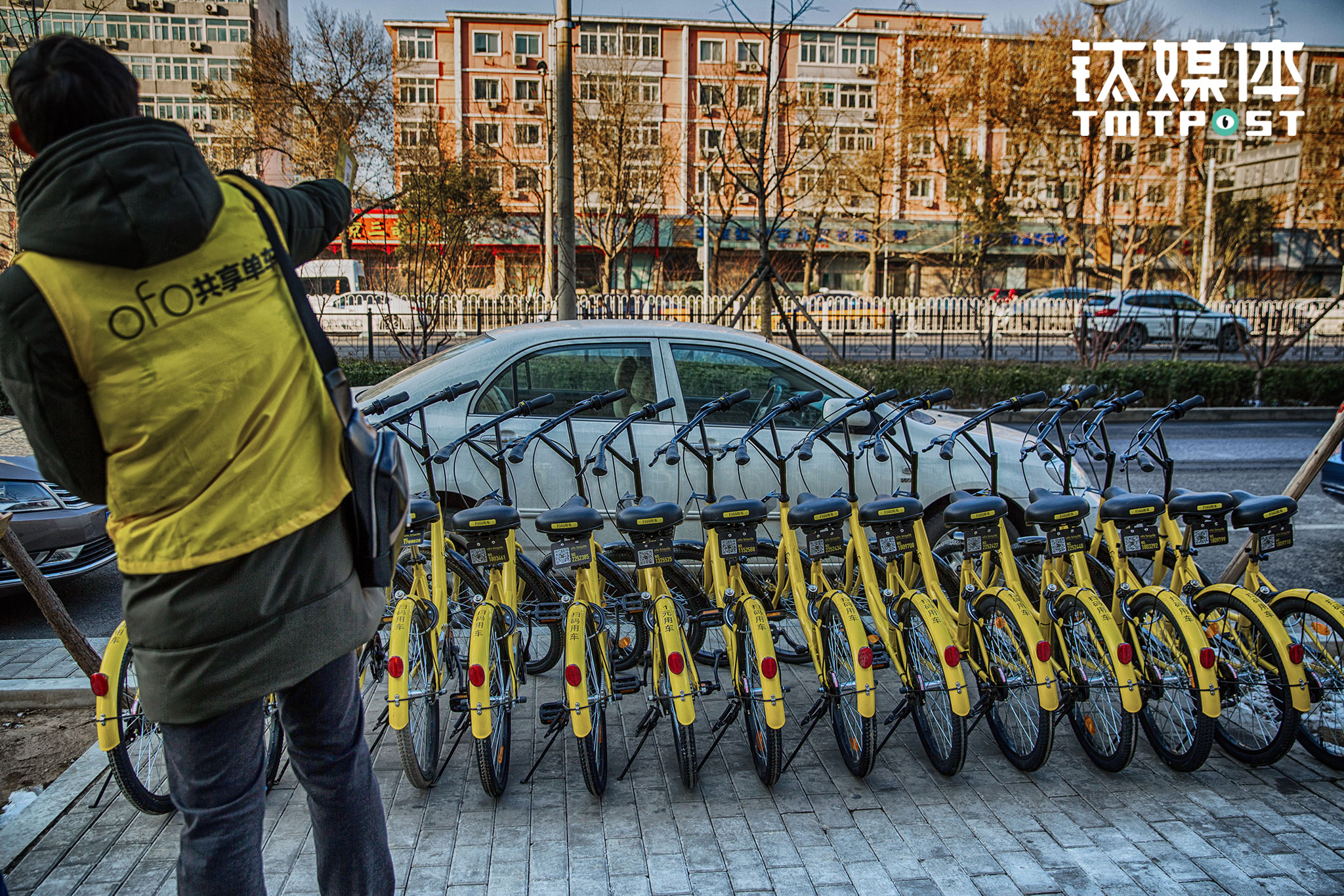一名兼职地推在一排全新的ofo面前向路人介绍车辆使用方法。相比其他产品2块3块的回报，ofo的地推人员获得的报酬更高，帮助ofo获得一名下载注册用户，&ldquo;可以获得5块钱现金&rdquo;。