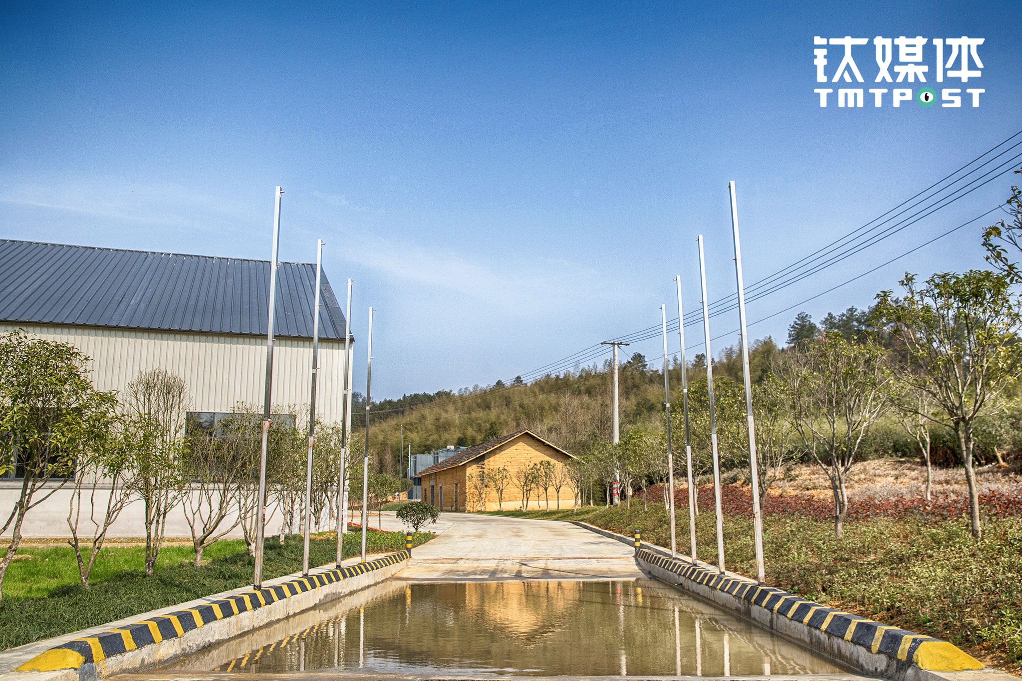 大型车辆进入养殖区前，会经过两个喷雾消毒点。消毒点的地下装有压力感应装置，运送原料、生猪的车辆经过，消毒点的八根杆子就会喷洒喷雾对车辆进行消毒，&ldquo;一般猪场只有一个车辆消毒点，味央有两个，因为这里的猪不吃抗生素，所以要把防疫做得更严格&rdquo;。