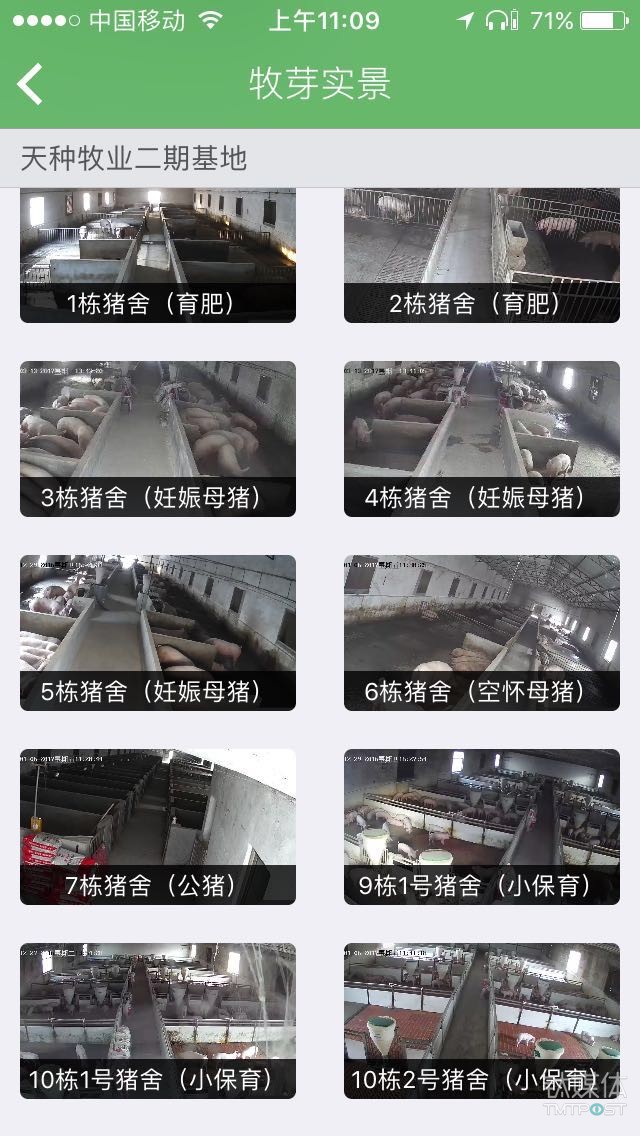 牧芽在每个猪舍都安装了监控，你可以随时在牧芽上观察猪舍情况。