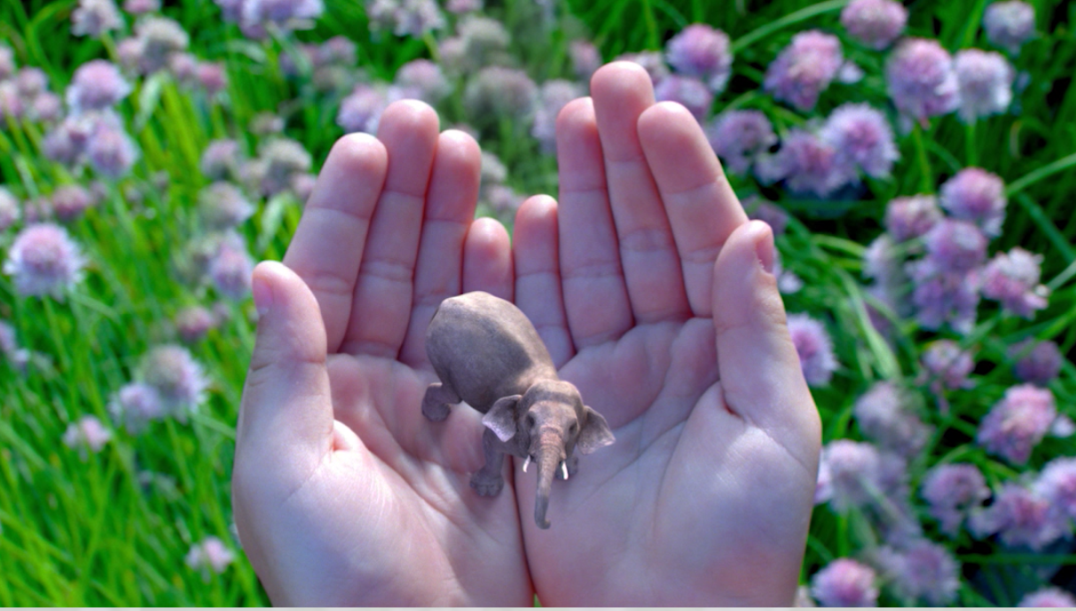 Magic Leap估值达80亿美元，传D轮将由阿里巴巴领投