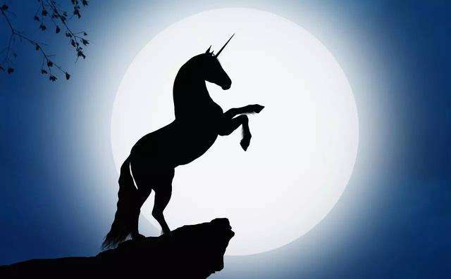 【书评】独角兽之死