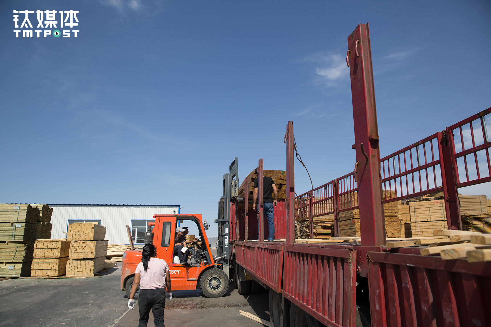 金强在物流园找了两天，找到一车从满洲里去遵义的木材，价格每吨760元，虽然跟心理预期有点差距，金强还是接受了，木材不是急货，他们往南路过家，可以回去待一天，看看孩子。